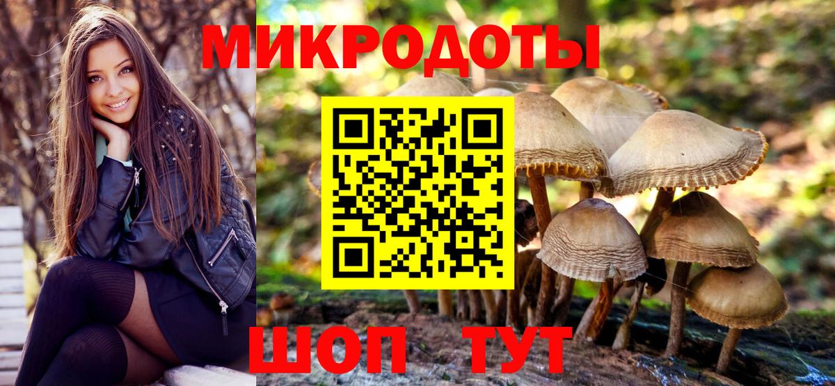 Галлюциногенные грибы GOLDEN TEACHER Гатчина